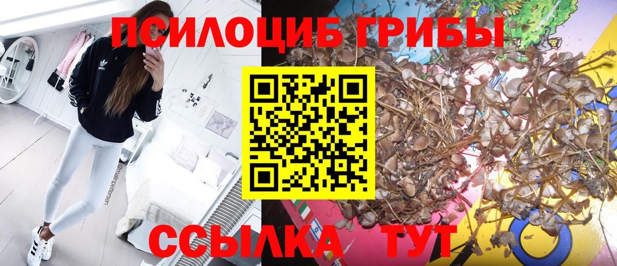 Галлюциногенные грибы мухоморы  Вход с VPN  Краснокаменск 